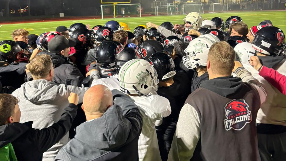 Kooperation Bulldogs/Falcons