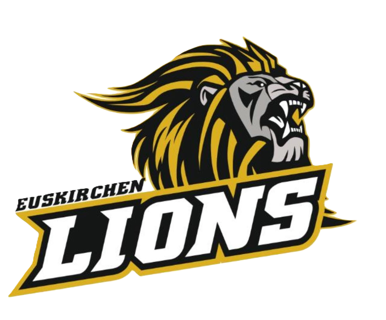 Euskirchen Lions U13 FLAG