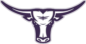 Langenfeld Longhorns U10